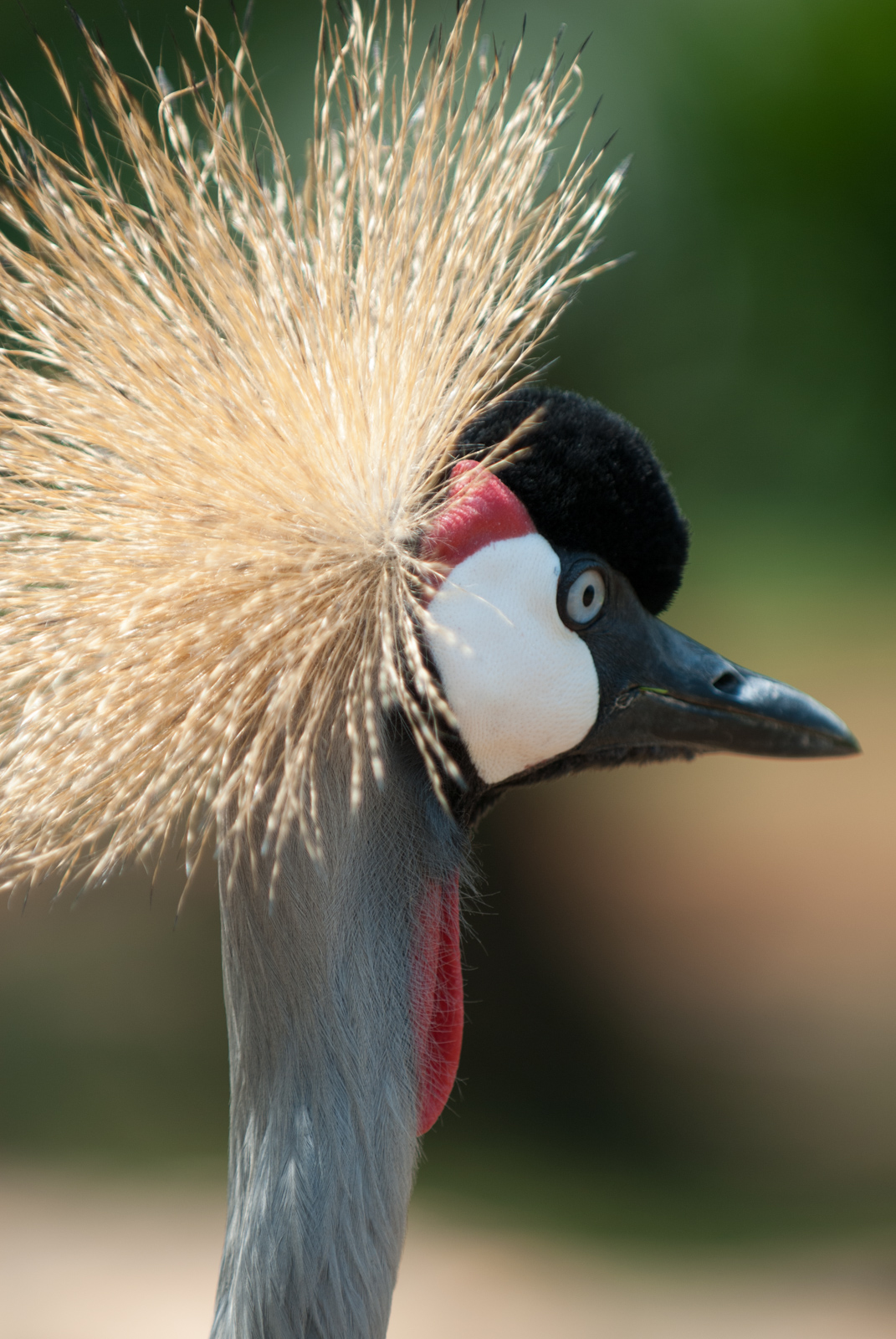Uganda 27