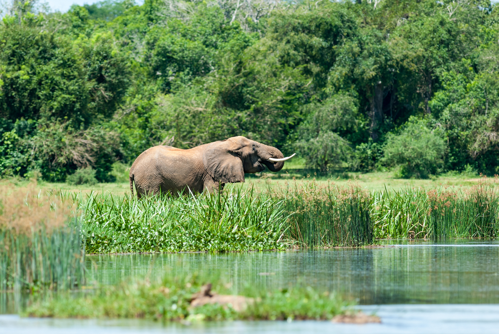 Uganda 28